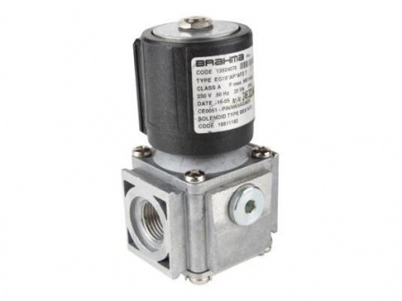 Газовый электромагнитный клапан Brahma EG15*AP*AFD7 13924070